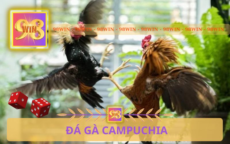 ĐÁ GÀ CAMPUCHIA TẠI 98WIN